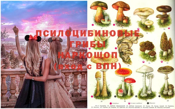 PSILOCYBIN Богданович